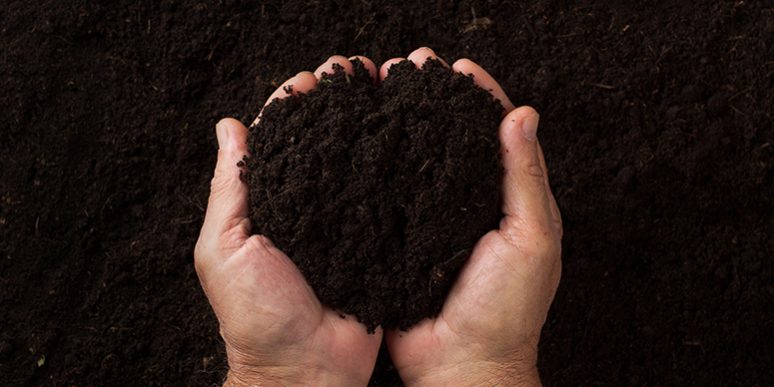 soil3