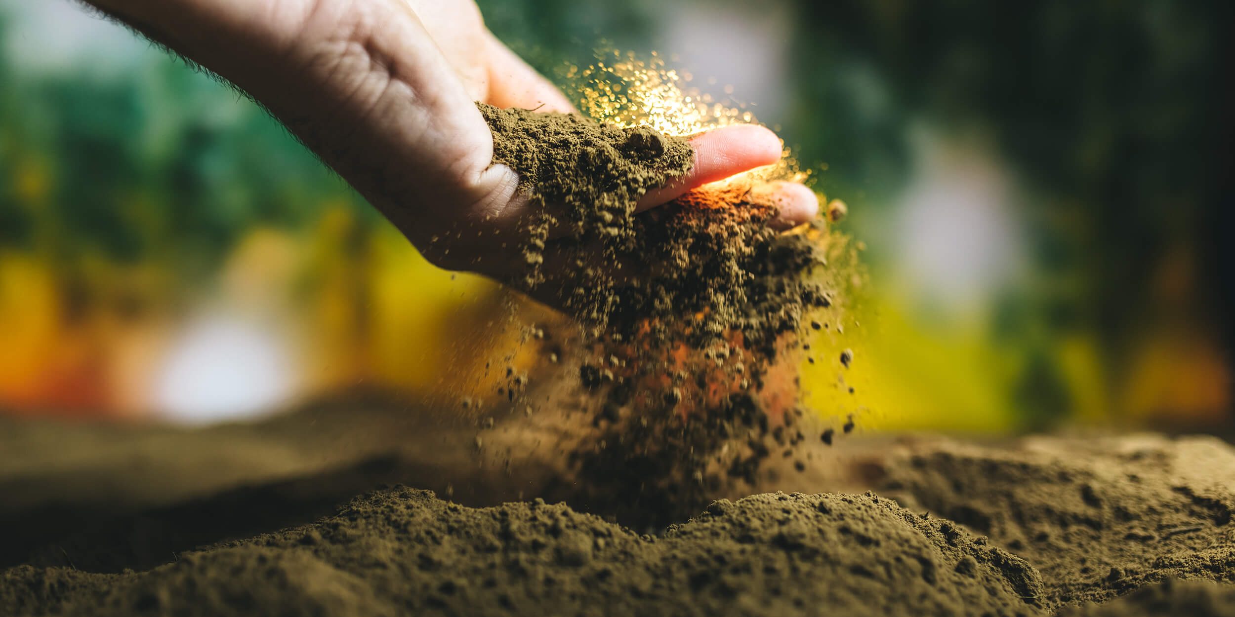 Étude environnementale Phase 1