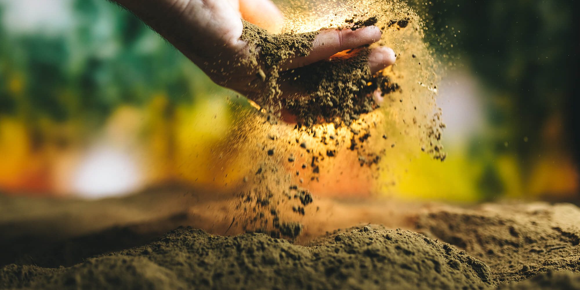 Décontamination de sol à Dollard-des-Ormeaux
