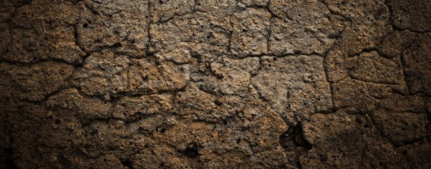 Montreal environmental services